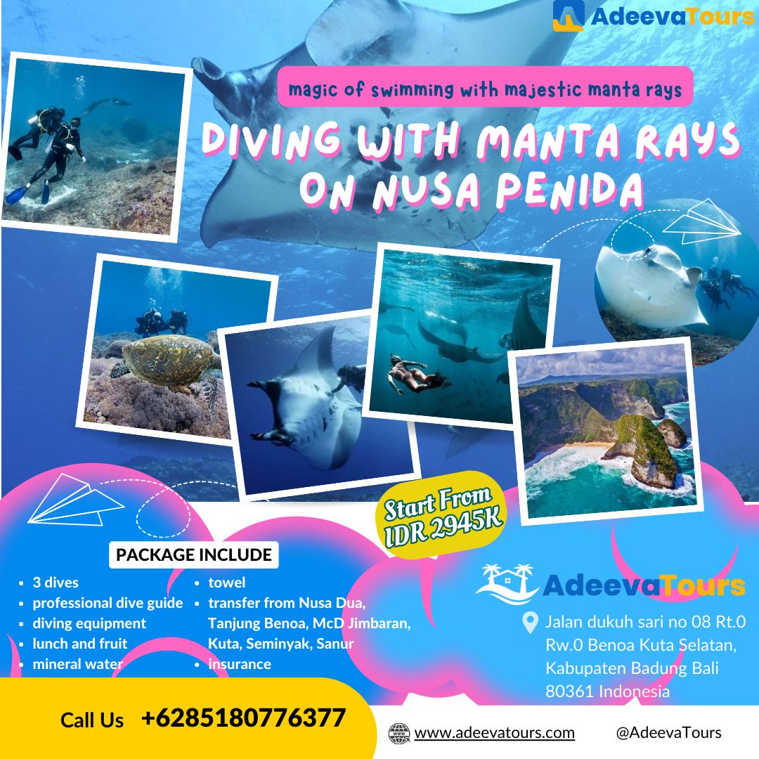 Dive with Manta Rays in Nusa Penida