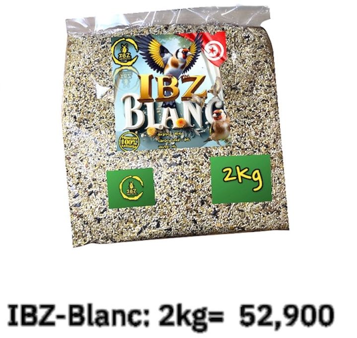 IBZ-blanc 