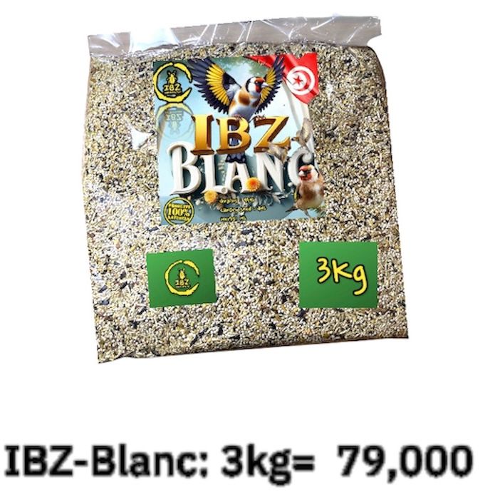 IBZ-Blanc 