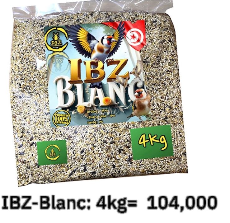 IBZ-Blanc 