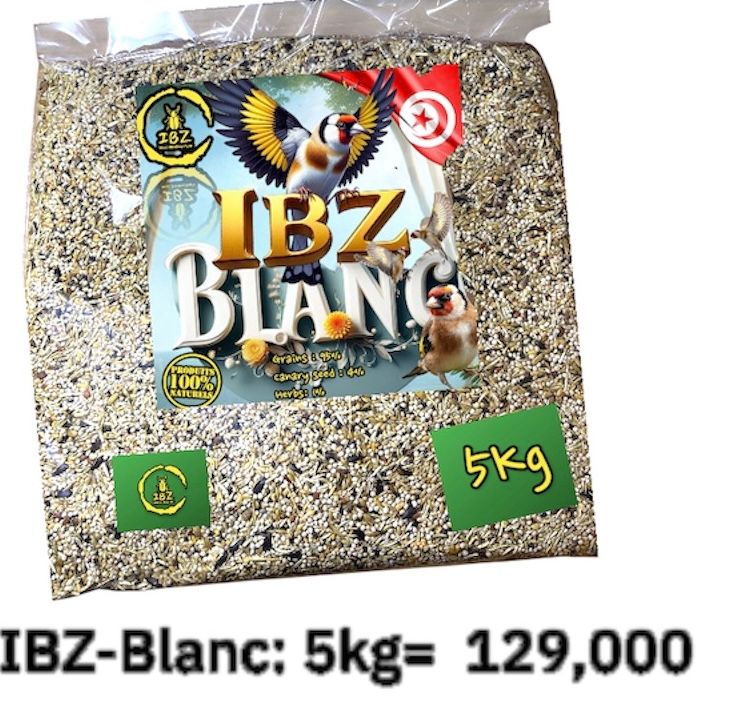 IBZ-Blanc 