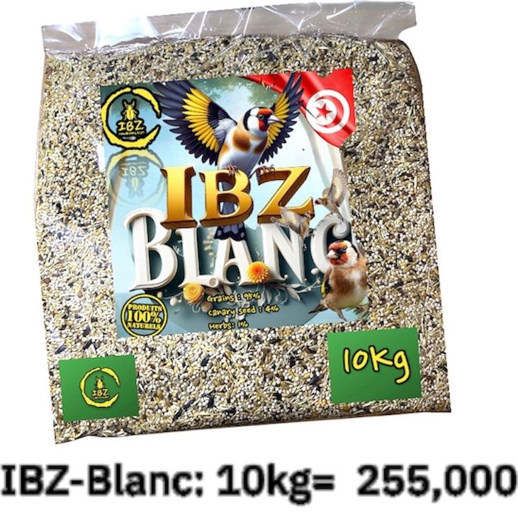 IBZ-Blanc 