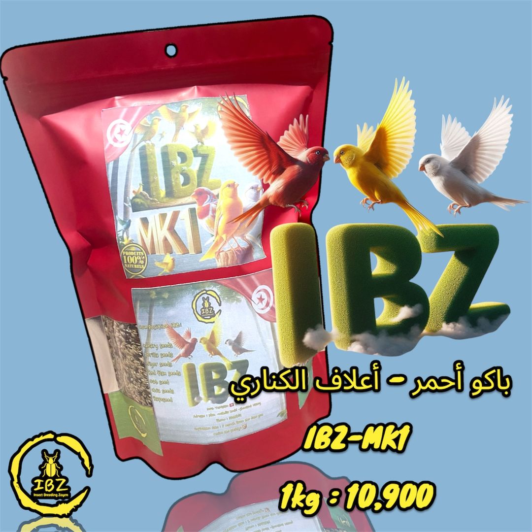 IBZ-MK1