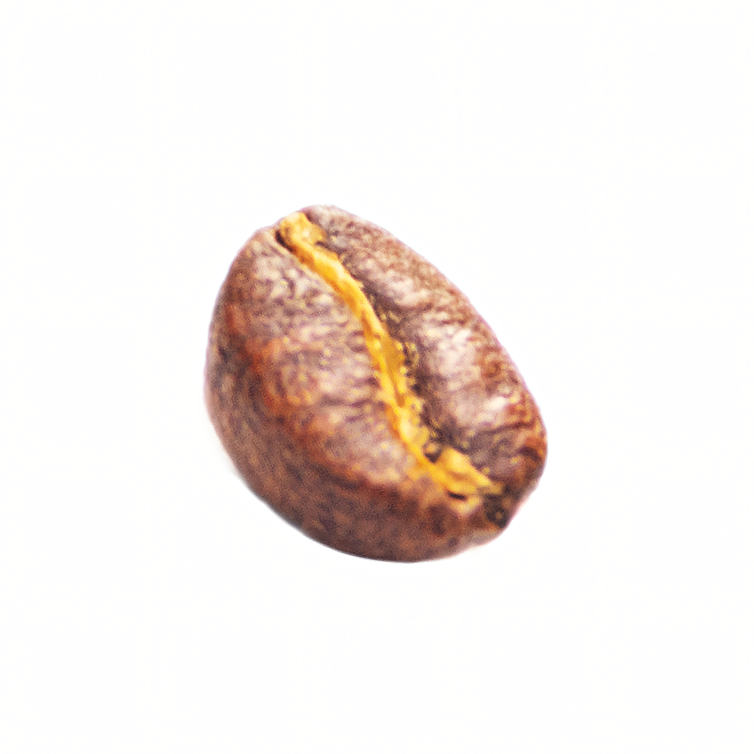 Gesha, Limu Primrose, Natural Processed, Ethiopia, Grade 1, Light-medium roast