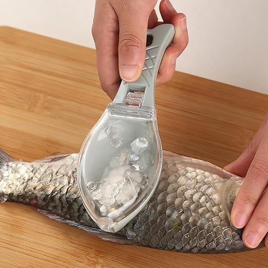 Râpes à écailles de poisson, grattoir avec couvercle transparent, outils de cuisine, écailles de poisson