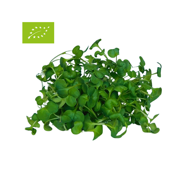 ΜΠΡΟΚΟΛΟ (Broccoli) BIO 25γρ