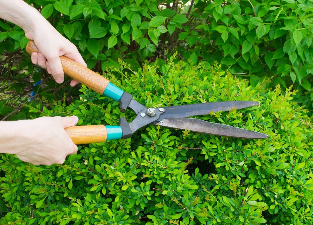 Garden Maintenance by the Hour