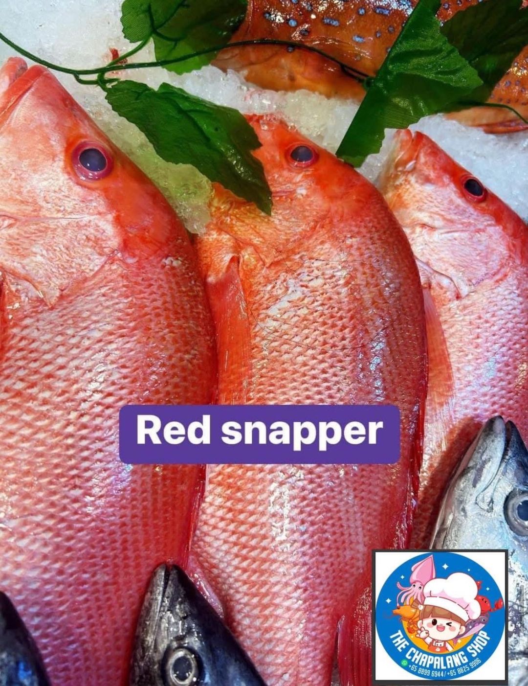 Prosperity Steamboat Set 