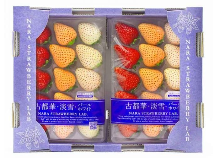  Japan Tri-color Nara Strawberry Lab (Kotoka/Pearl White/Awayuki Pink)  1 punnet