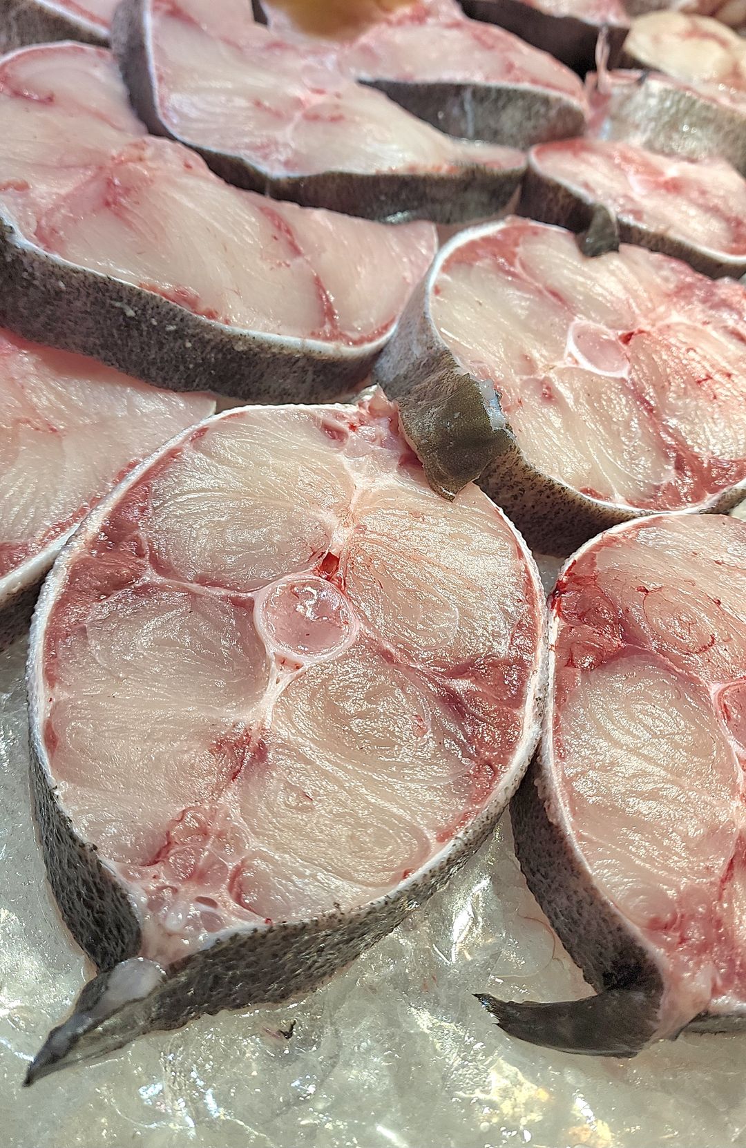 生劏懵仔魚🐟（約12-13兩）（塊）