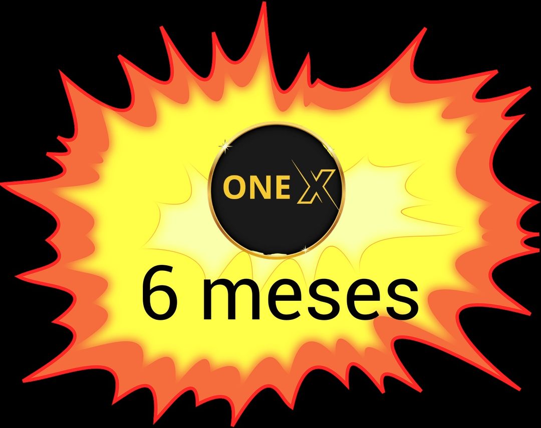 6 meses OneX 