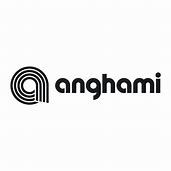 anghami 3 months