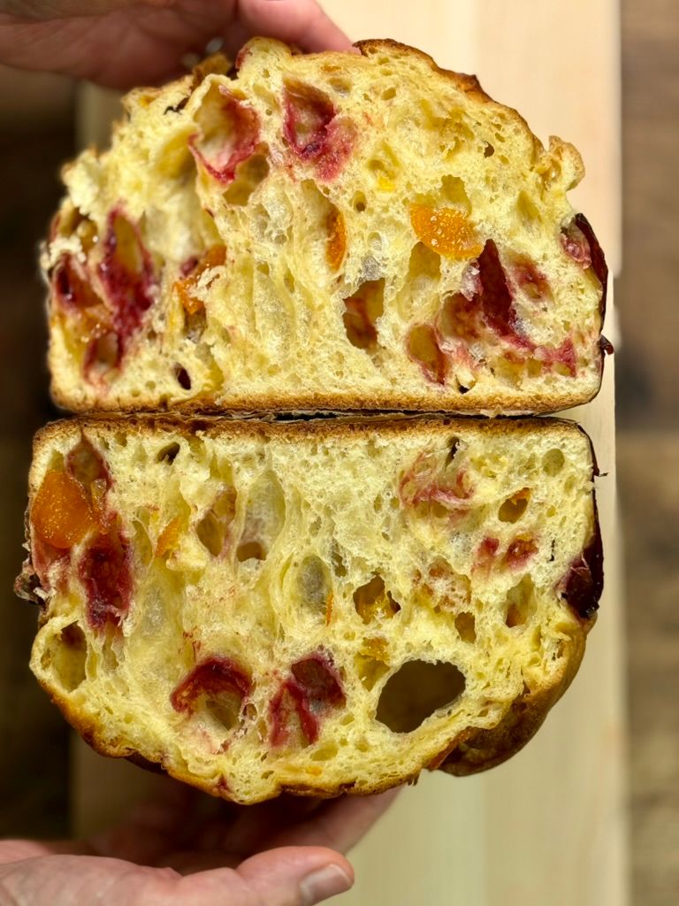 NEW: Sourdough Kumquat Panettone by Helen Read Home 