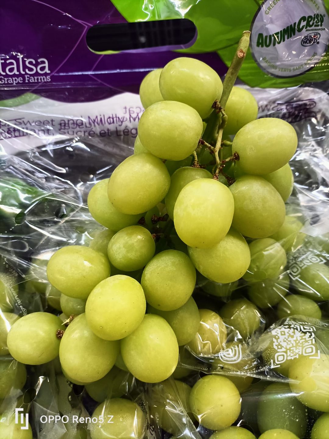 PERU Premium AUTUMNCRISP® Seedless Grapes 