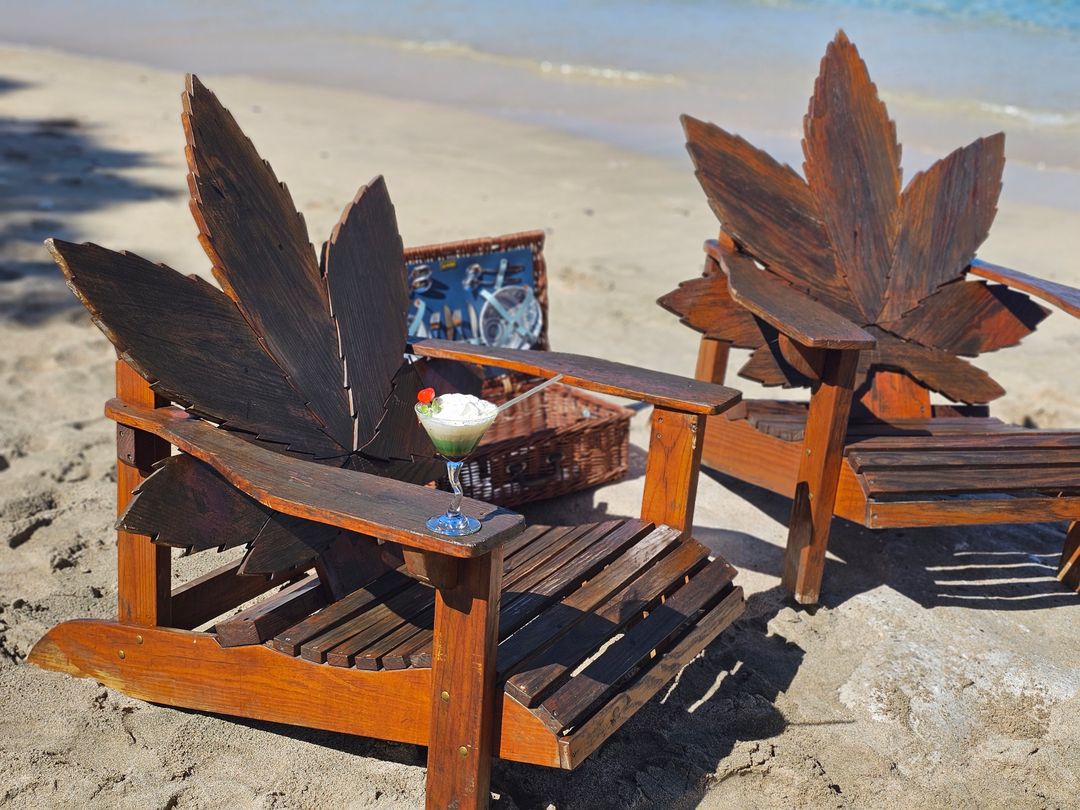  Private Hike & Cannabis Infused Vintage Beach Picnic Hamper