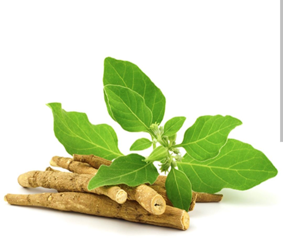 Ashwagandha Root Powder (Withania somnifera) 