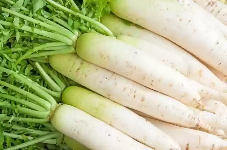 Mooli (White Radish) (1pc Approx 100 - 200g)