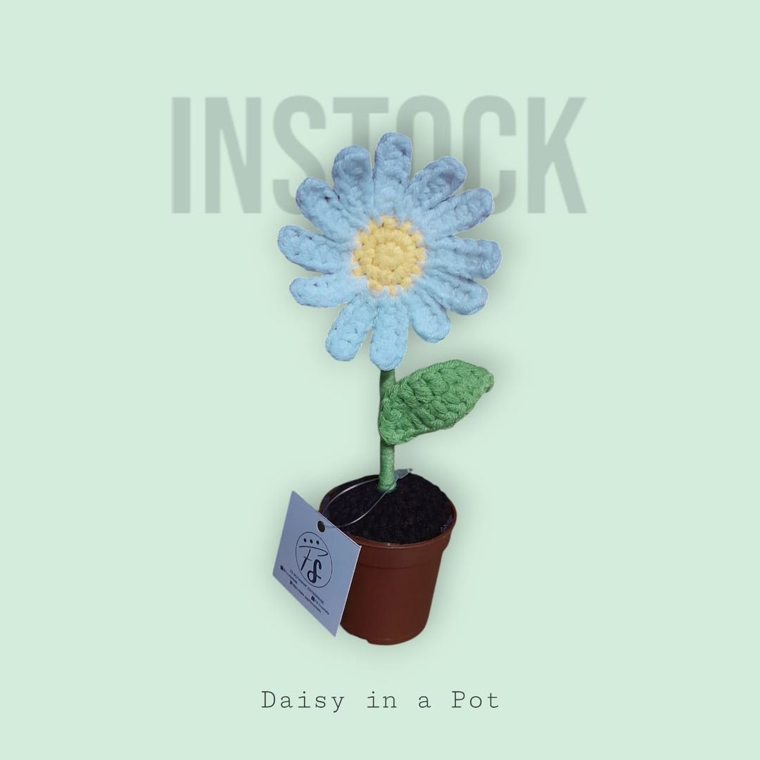 [INSTOCK] Daisy in a Pot