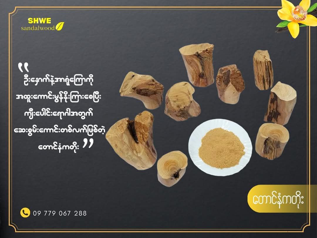 Shwe Sandalwood_ဩစတေးလျ တောင်နံကတိုး