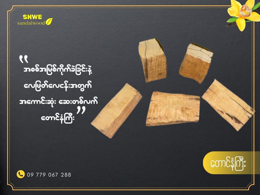 Shwe Sandalwood_တောင်နံကြီး