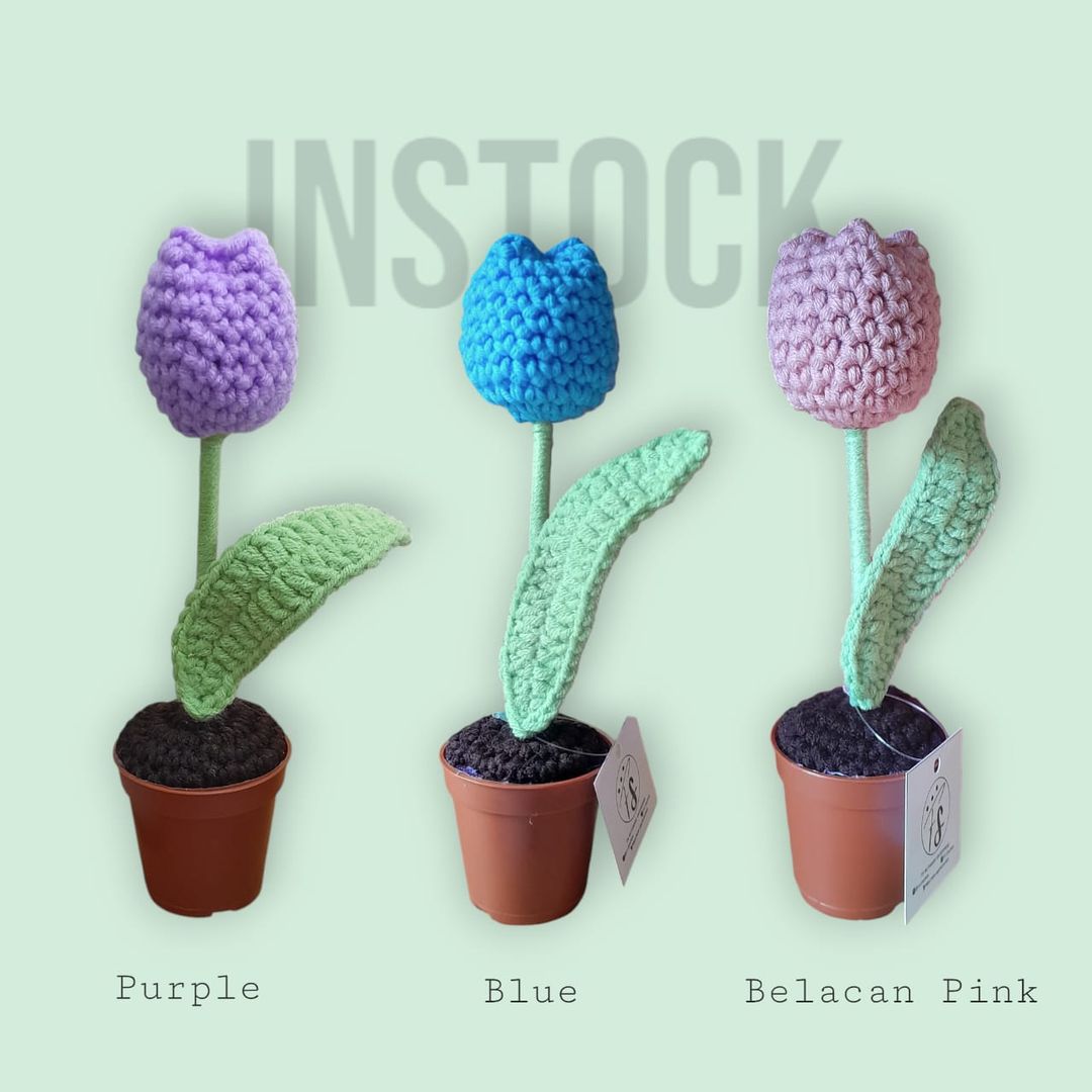 [INSTOCK] Tulip in a Pot