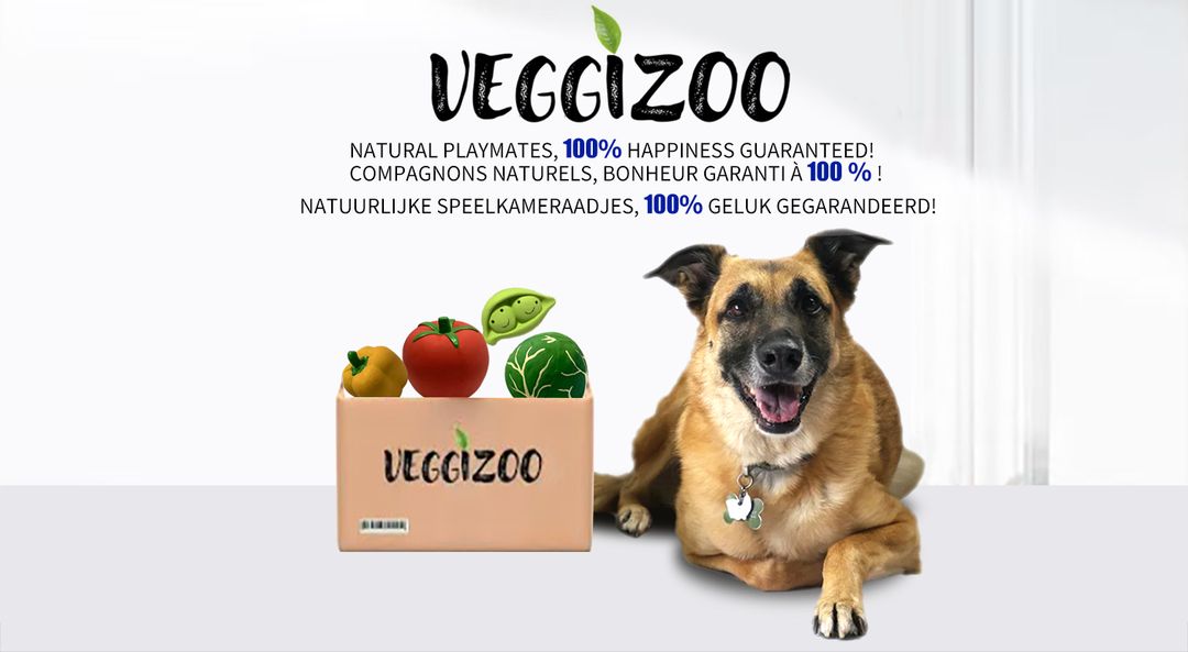 Vegggizoo Box---quatre jouets pour chien