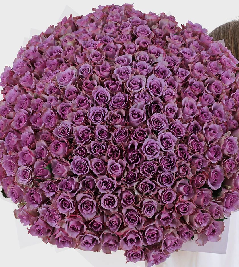 Purple roses bouquet 17 / باقة ورد بنفسجي 17