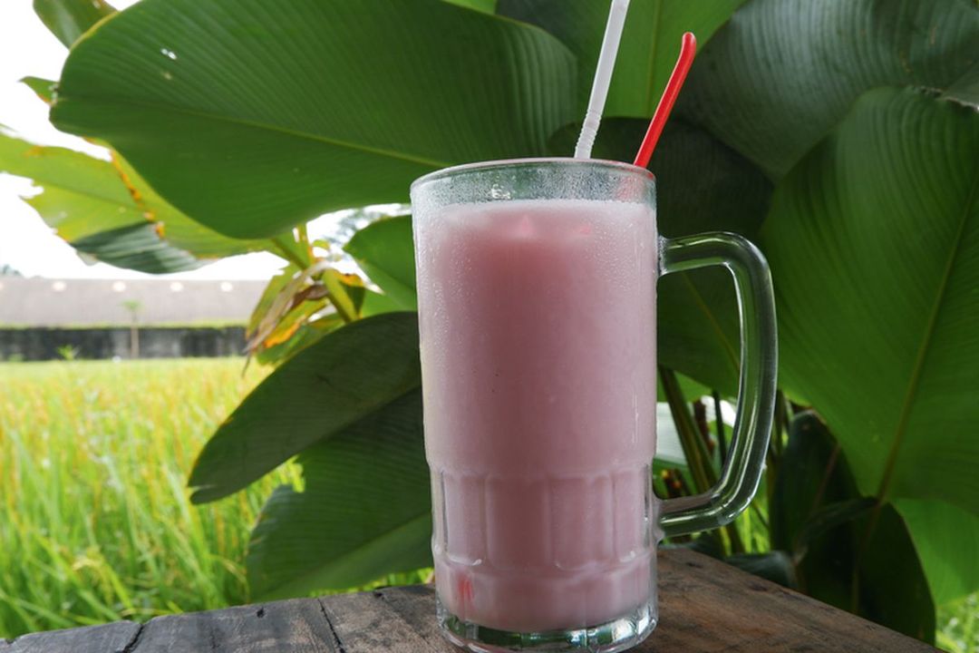 Segar Sari Susu Soda