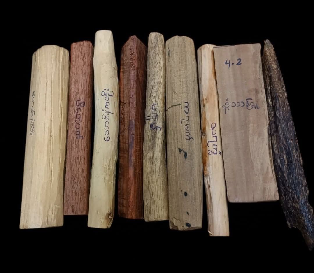 Shwe Nathar_နံ့သာကိုးပါး Collection 