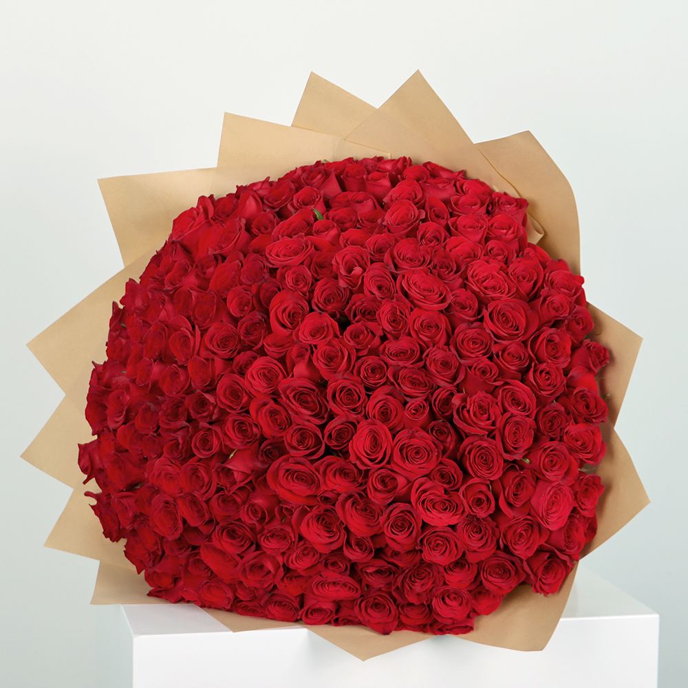 Red roses bouquet / باقة ورد حمراء