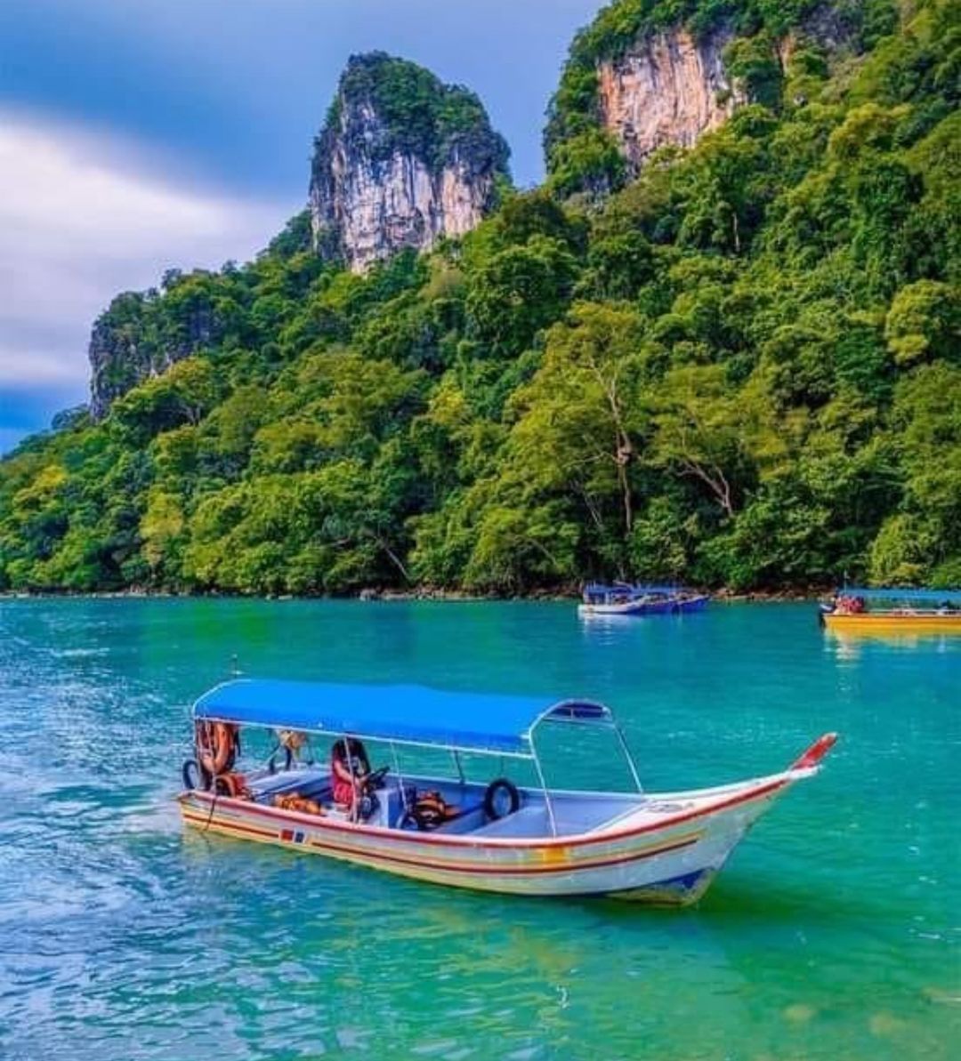 Mangrove Tour (Sharing)