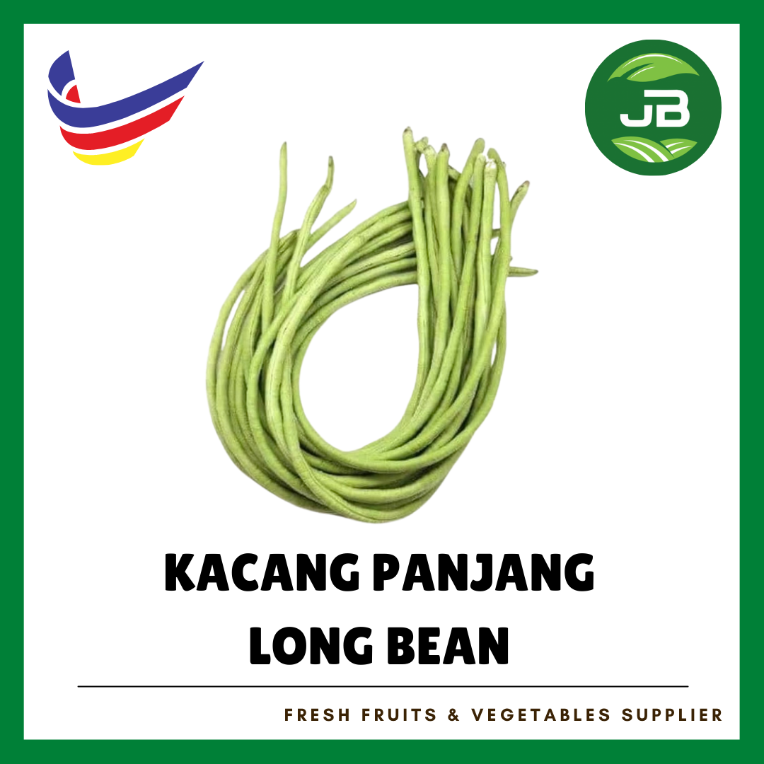 KACANG PANJANG 长豆