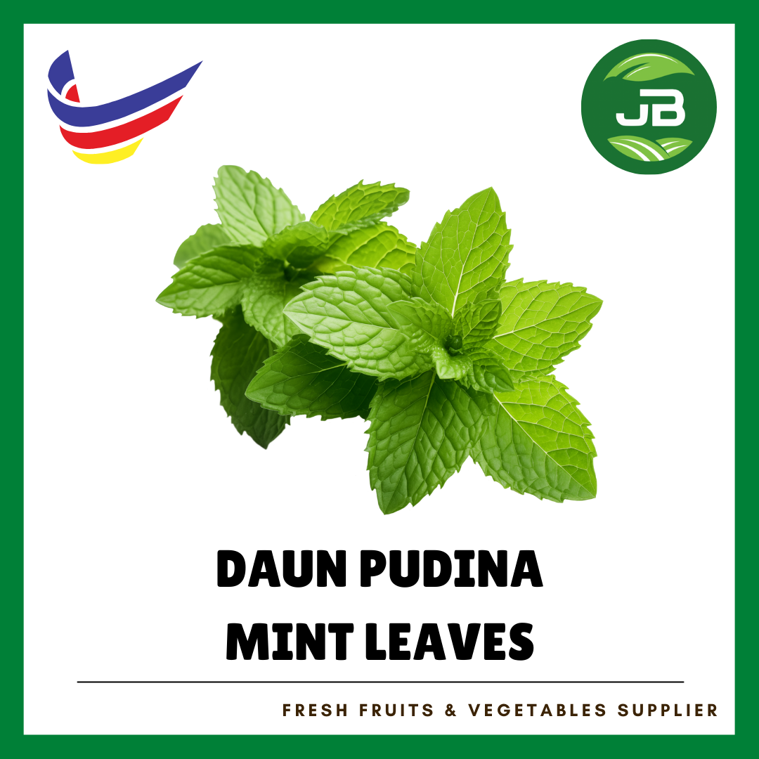 DAUN PUDINA 薄荷叶