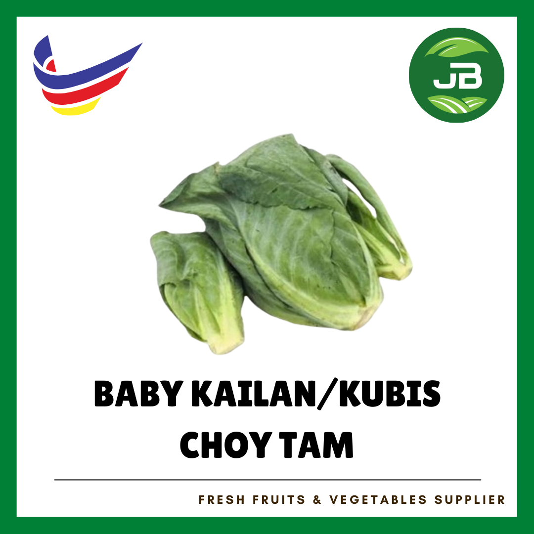 BABY KOBIS 包菜旦 (CHOY TAM)