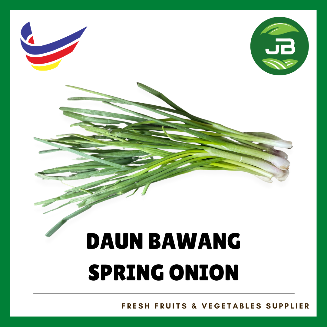 DAUN BAWANG 生葱