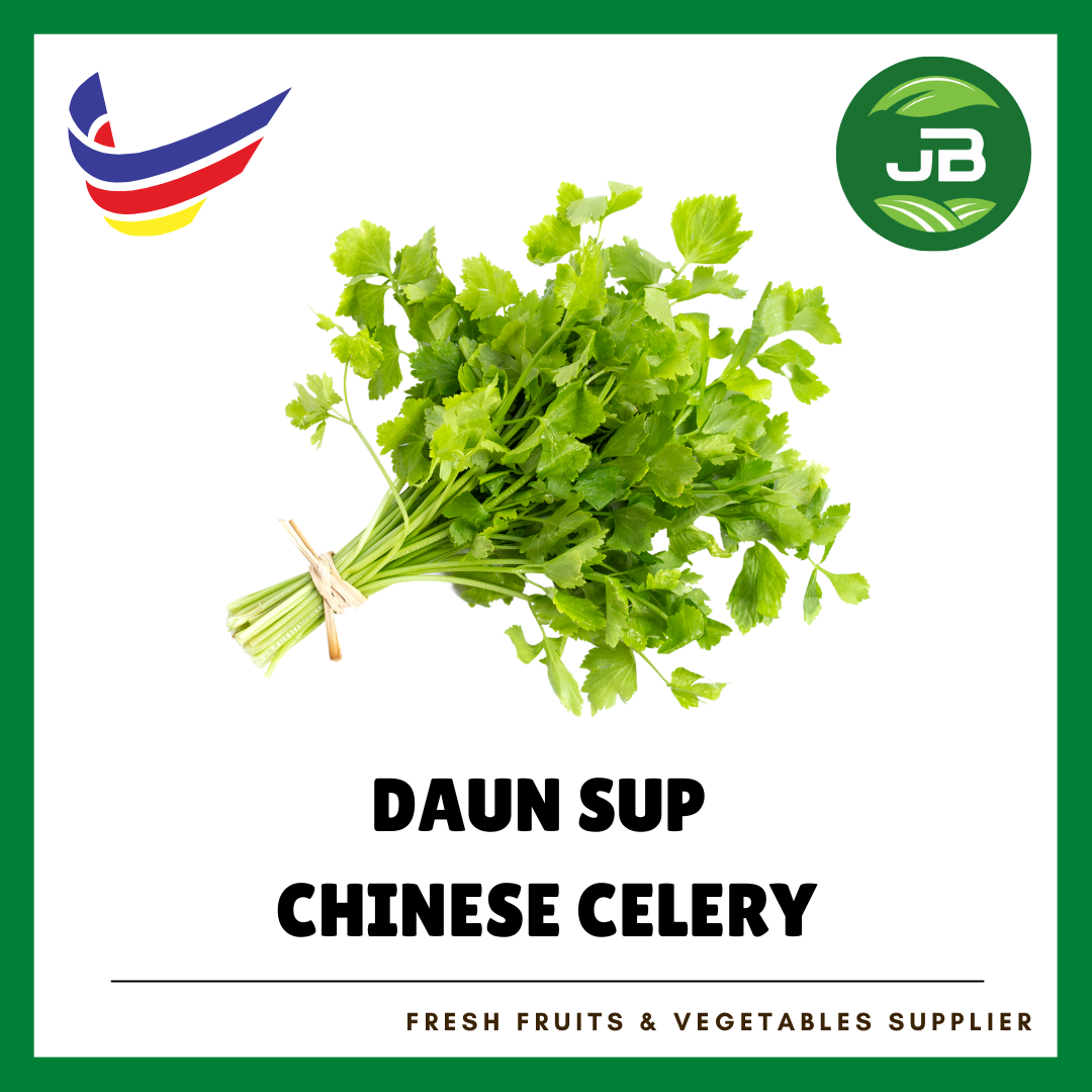 DAUN SUP 芹菜