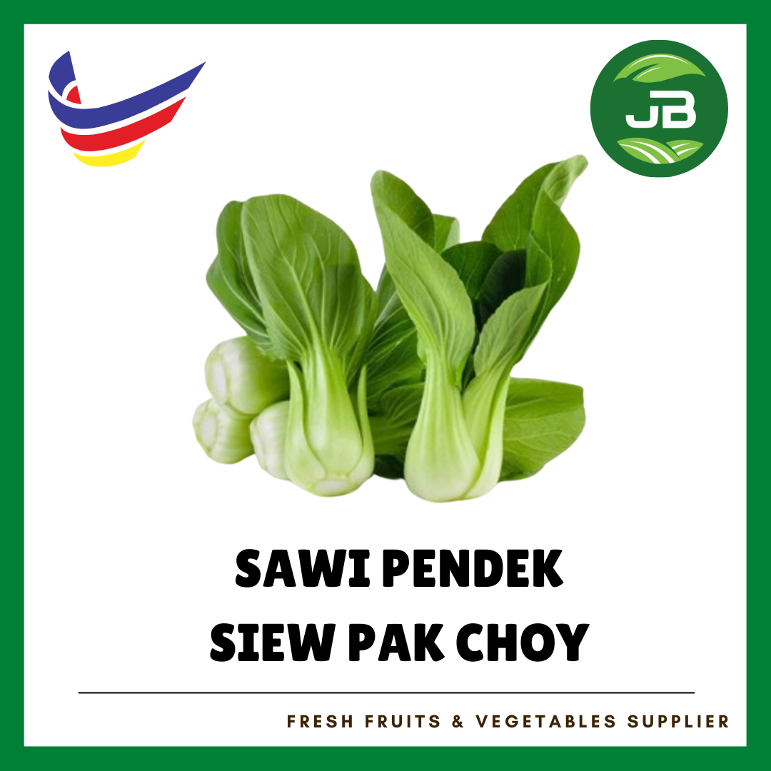 SAWI PENDEK (SIEW PAK CHOY) 小白菜