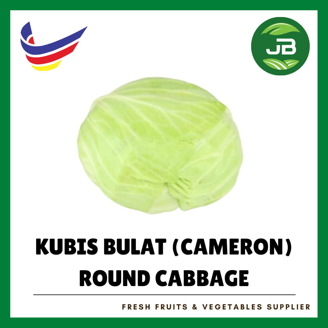 KOBIS BULAT CAMERON 金马伦包菜