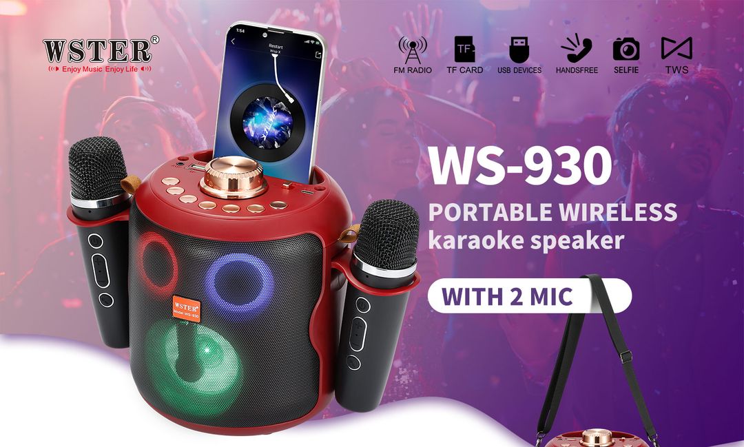 WS 930 (radio)