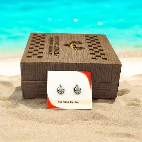 Serene Spark 925 Silver Studs for Women