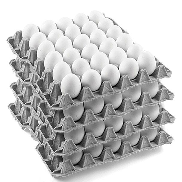 TURKEY EGG WHITE 30 PECS 1 CASE 