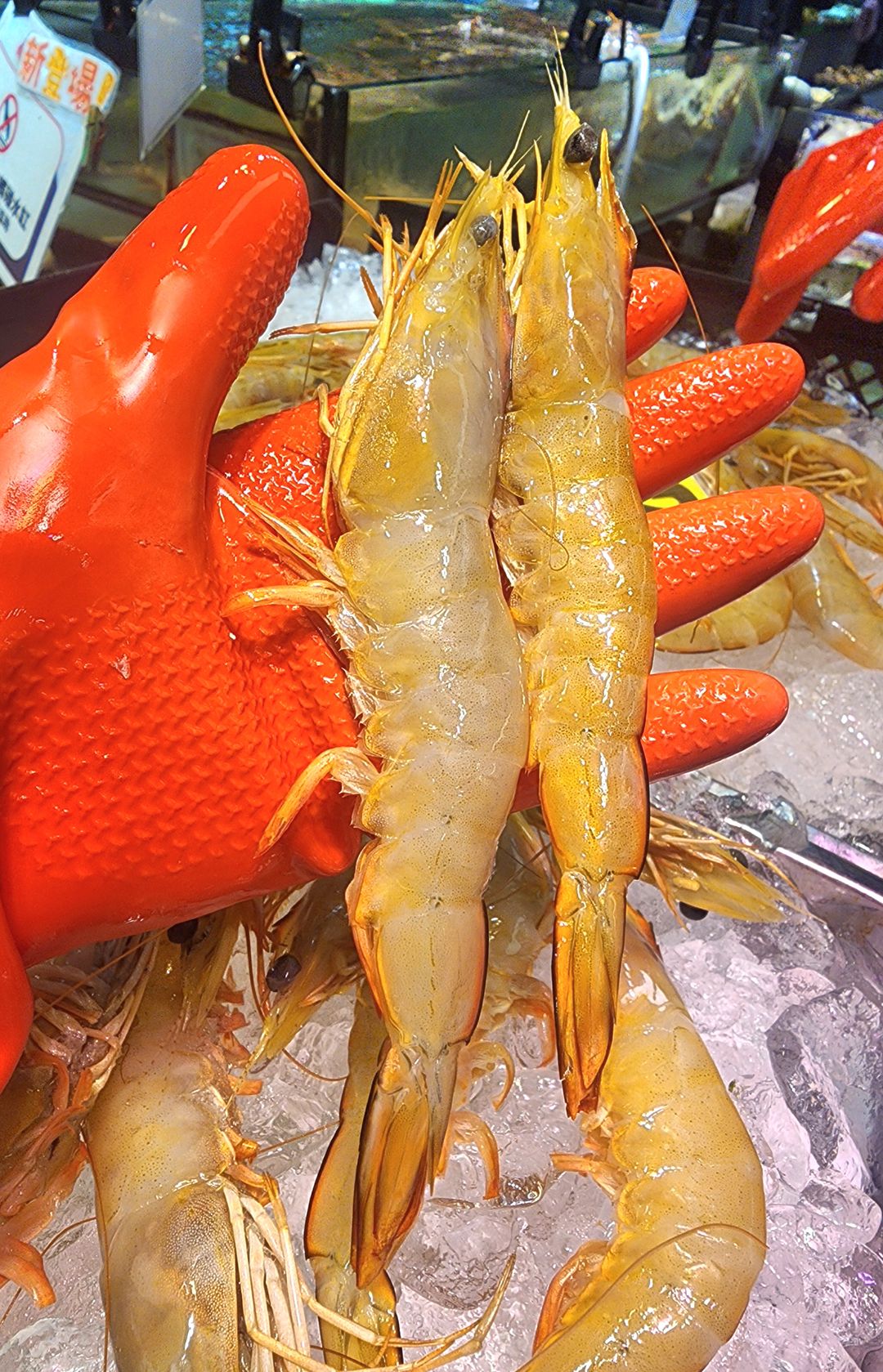 澳洲急凍野生白蝦🦐 （7-8隻）（半斤）