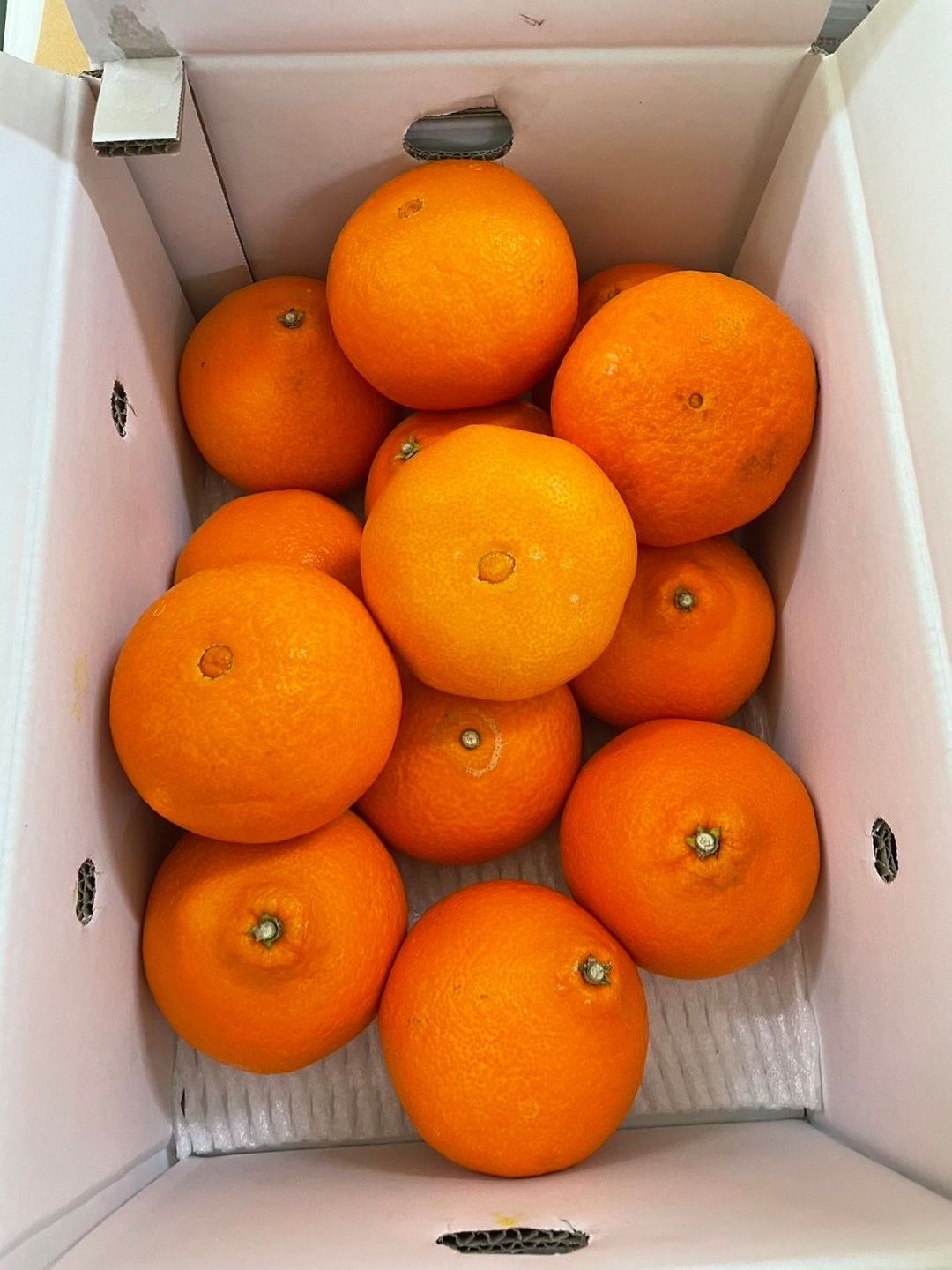 愛媛紅 Madonna 柑橙 🍊青秀 4L 13pcs  Ehime Red Madonna Blood Orange 🍊4L 13玉