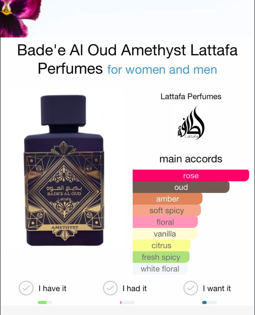 Lattafa Badae al Oud - Amethyst 