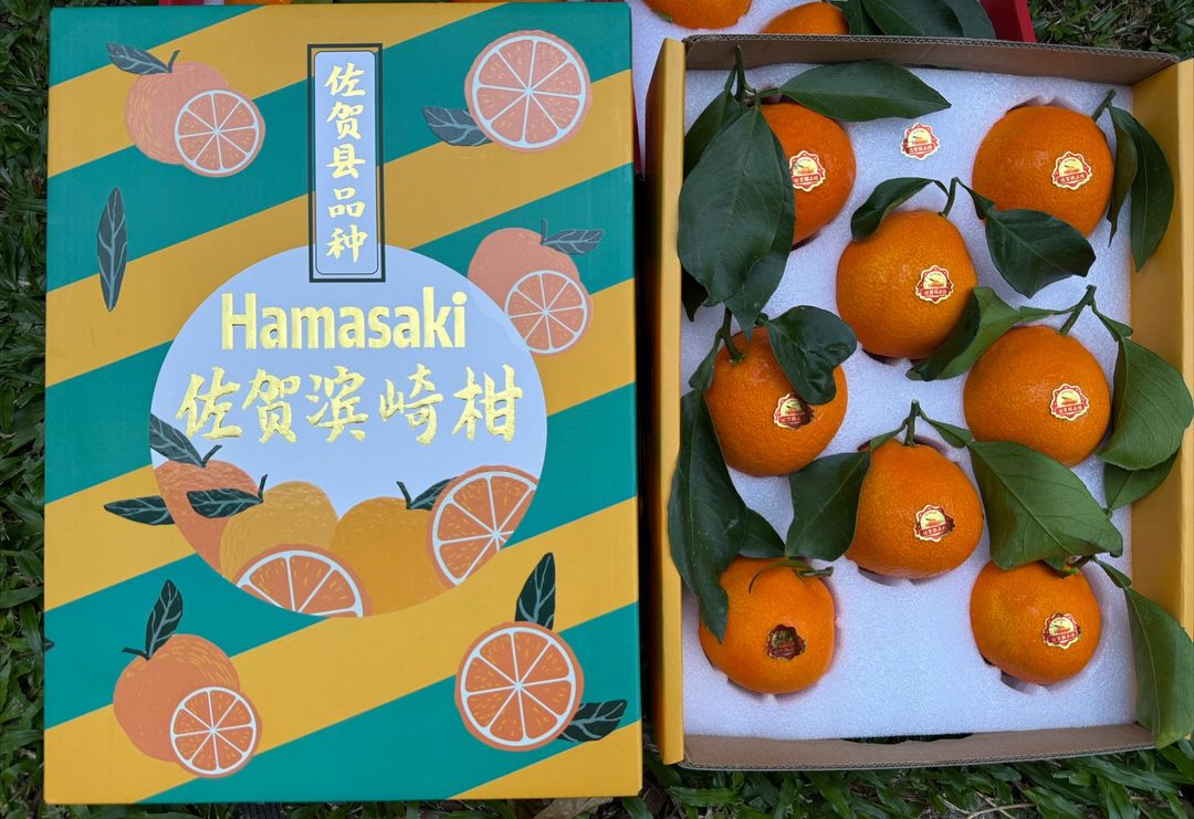 China Hamasaki Red Beauty Orange 2.5KG (滨崎柑）