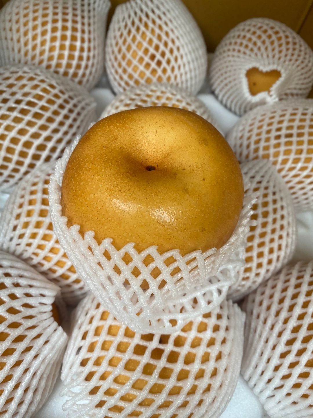 Korean Pear