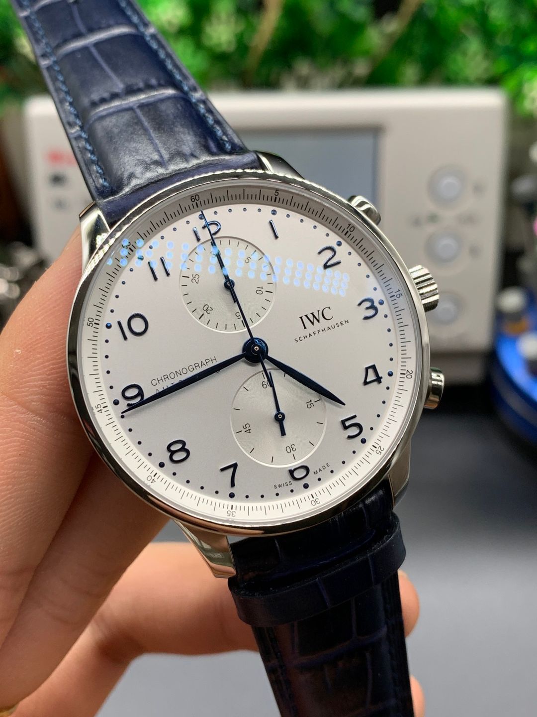 IWC Portugieser Chronograph  White and Blue