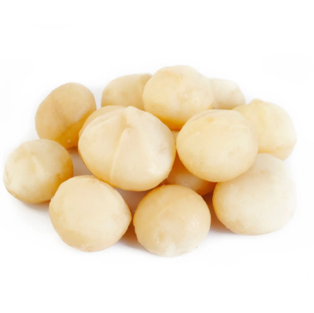 Macadamia