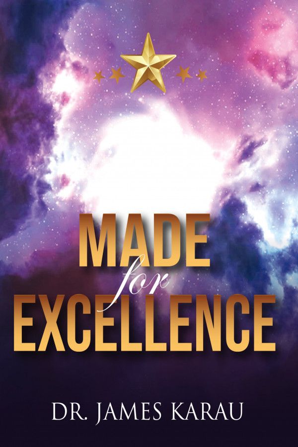 Made For Excellence by James Karau