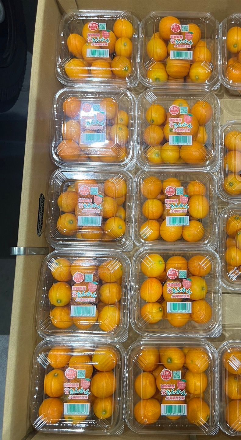 金柑 Kinkan (Kumquat)